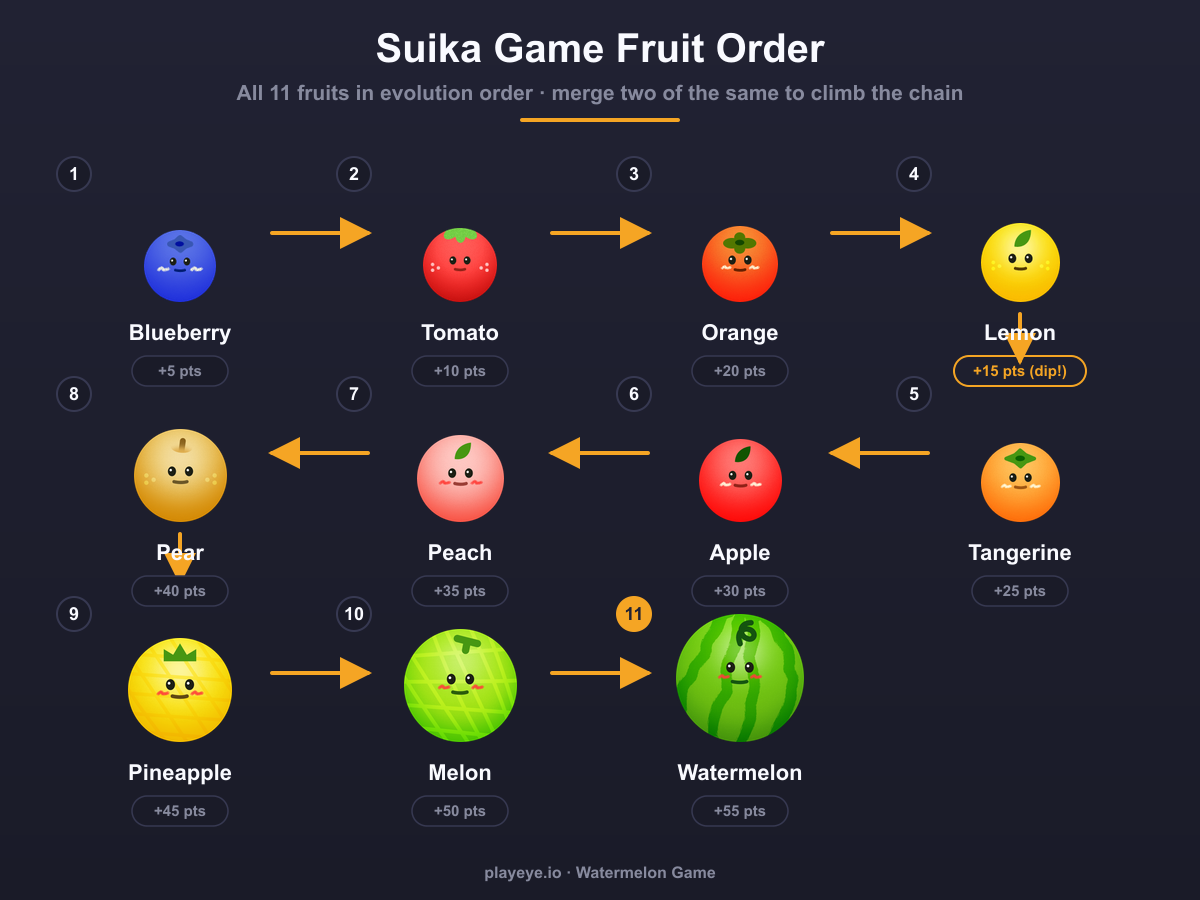 Suika Game fruit evolution chart showing all 11 fruits in order with merge scores: blueberry (+5), tomato (+10), orange (+20), lemon (+15, a dip), tangerine (+25), apple (+30), peach (+35), pear (+40), pineapple (+45), melon (+50), watermelon (+55), connected by arrows